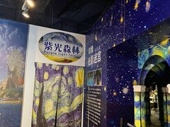 -天津梵高星空艺术馆(天河城旗舰店)