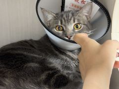 -博特宠物医院24h犬猫全科.骨科·异宠