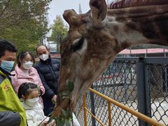 -荆州中山公园动物园