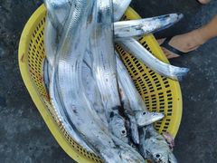 -中国（海南）南海博物馆