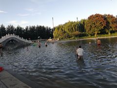 -柳浪游泳场