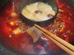 脆毛肚-重庆古老火锅