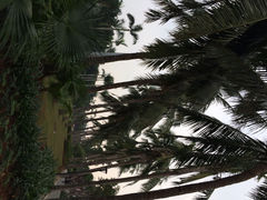 iphone_upload_pic-万绿园