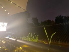 -Sirena海妖日咖夜酒