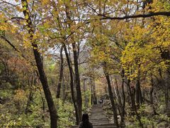 -驼梁风景区