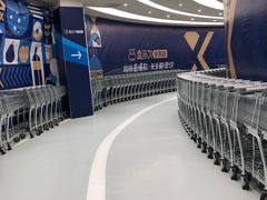 -盒马X会员店(上海森兰商都店)