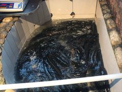 -湘芙蓉·湖南菜(椒江店)