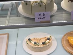 -猫里有甜