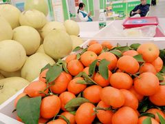 -中国天府农业博览园