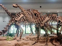 -自贡恐龙博物馆