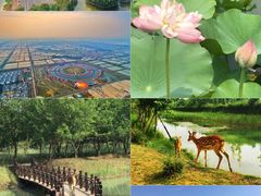 -江苏三台山国家森林公园