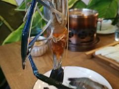 -Thai Basil罗勒叶泰式餐厅(时代天街店)