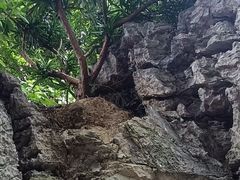 -荔湾湖公园