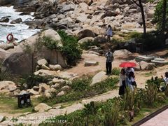 -广东惠东海龟国家级自然保护区
