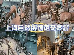 -上海自然博物馆