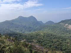 -广州市流溪河国家森林公园