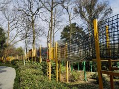 -杭州少年儿童公园