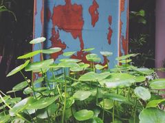 T馆-T館·花园艺术餐厅