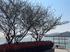 -望海·帆船主题咖啡厅•品茗下午茶(石湖景区店)