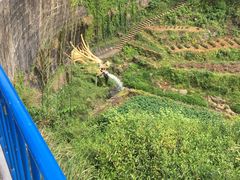 -磐安舞龙峡景区