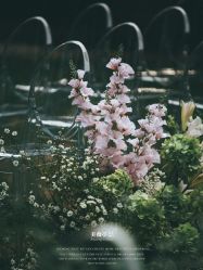 -美薇亭婚礼顾问