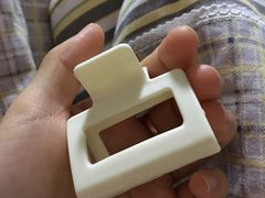 -欣宠猫屋·矮脚拿破仑·蓝金金渐层