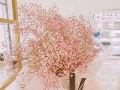 -哈妮皮肤管理中心