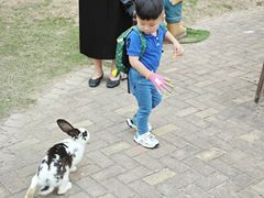 -灵玲国际马戏城