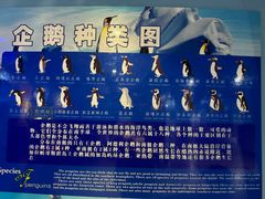 -泉城欧乐堡海洋极地世界