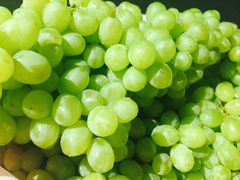 -阿罗新疆菜(人民广场店)
