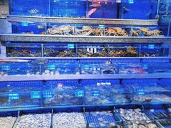 -青蓬蒸汽海鲜·深圳老字号·团建聚会(壹方城店)