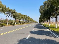 -苏州太湖国家湿地公园