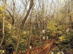 -大岭沟猕猴桃谷风景区