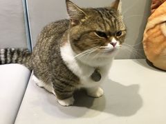 -小时光咖啡馆(开森度假森林店)