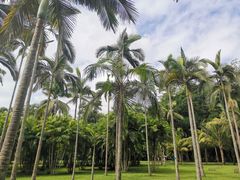 -中国科学院西双版纳热带植物园