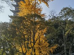 -常熟方塔园