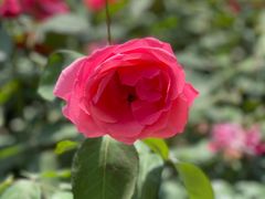 -莲池书院博物馆