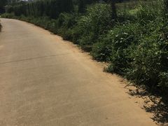 -艾尚主题式KTV(艾溪湖绿地店)