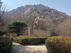 -北京鹫峰国家森林公园
