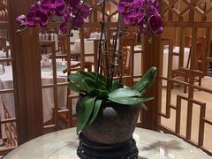 -北京广安门维景国际大酒店