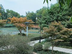 -青枫公园