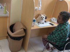 -美联众合动物医院·24h京西诊疗中心