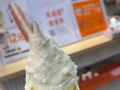 -野人先生现做冰淇淋(西安赛格店)