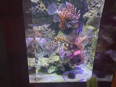 -太平洋海底世界