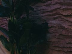 -派悦坊·甜品·蛋糕(日坛店)