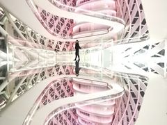 -凤凰中心