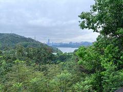 -深圳仙湖植物园
