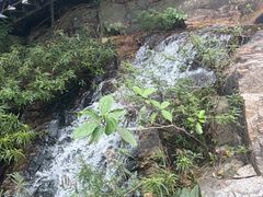 -呀诺达热带雨林