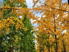 -汉长安城未央宫国家考古遗址公园