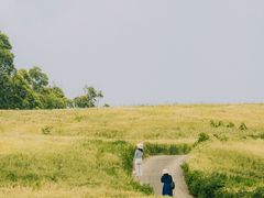 -空港花田景区